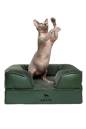NOAH & PAW Kleines Hundebett, 50,8 x 38,1 x 20,3 cm, Katzenbett für Indoor-Katzen, orthopädischer Eierschalen-Memory-Schaum mit kühlendem Gel, wasserdichter Innenbezug, maschinenwaschbar (vegane