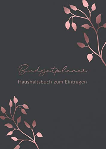 Budgetplaner • Haushaltsbuch zum Eintragen: Persönlicher Finanzplaner und Budget-Planer zum Ausfüllen • Din A4 Format • Einfach und leicht zur Handhabung