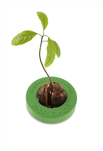 R&R SHOP Avocado Kit Germinator - Schwimmender Topf für die Avocado-Keimung, Samenwachstumskit, 100% recycelbarer und zusammensetzbarer Maisplastik (Grün)