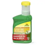 Neudorff Promanal Neu Schild- und Wolllausfrei – Konzentrat bekämpft Schild- und Wollläuse sowie Spinnmilben an hartlaubigen Zierpflanzen wie z.B. Oleander und Olive, 250 ml