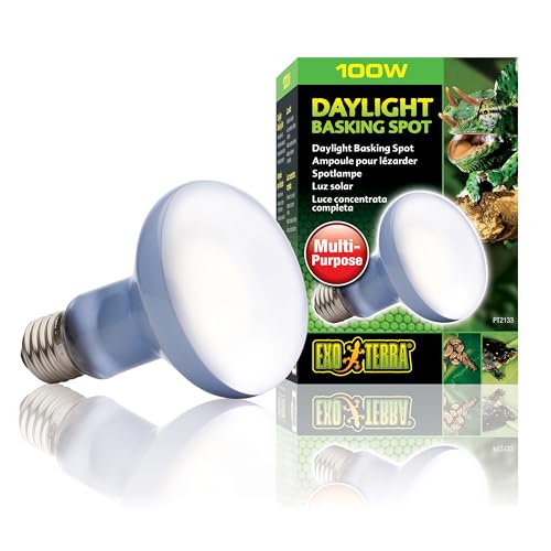 Exo Terra Tageslichtlampe mit Sonnenstrahl, 100 W