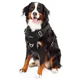 Funfox Hundegeschirr Grosse Hunde No Pull Geschirr Einstellbar Anti Zug Sicherheitsgeschirr Mittlere Große Hunde Brustgeschirr Hund Groß Atmungsaktiv Dog Harness Schwarz XL