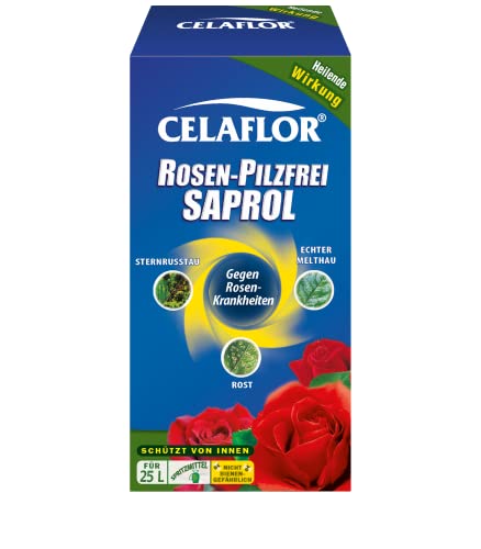 Celaflor Rosen-Pilzfrei Saprol, gegen Pilzkrankheiten an Rosen, wie Echten Mehltau, Sternrußtau und Rost, 250 ml