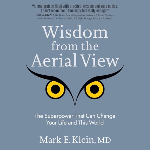 Wisdom from the Aerial View: The Superpower That Can Change Your Life and This World