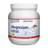 Pharmox Pferd & Pony Magnesiumcitrat (500 Gramm Pulver) -100% aus reinem Magnesium ohne Zusätze - Hochdosiert