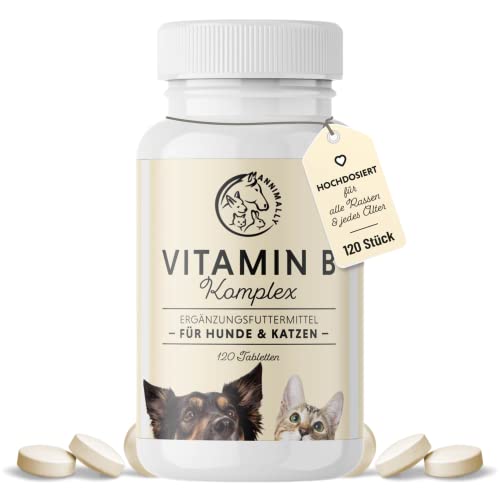 Vitamin B Komplex für Hunde - 120 Tabletten Vorrat für bis zu 4 Monate - Vitamin B hochdosiert für Hunde und Katzen mit Vitamin B1, B2, B3, B5, B6, B9, B12, Vitamin K, L-Tryptophan und Selen