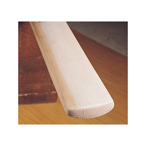 Gray-Nicolls protectoe | Cricket Bat Care