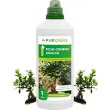 Purgrün® Ficus-Ginseng-Dünger | Schnell wirksame mineralische Rezeptur | Premium-Flüssigdünger mit Spurennährstoffen | NPK 10+4+6 | Stärkt die Widerstandskraft | Für kräftig grüne Blätter | 1 Liter