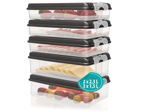 Hausfelder Kühlschrank Aufschnitt Aufbewahrung für Wurst und Käse, Aufschnittbox stapelbar, Aufbewahrungsbox mit Deckel (5 Anthrazit Aufschnittdosen 3x flach, 2x hoch)
