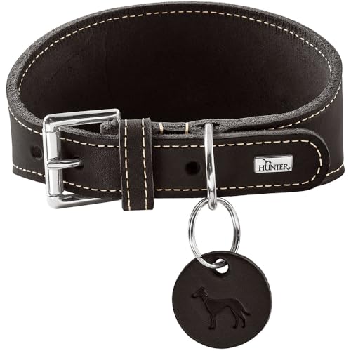 HUNTER Windhundhalsband Aalborg Farbe schwarz, Robustes Softleder, ideal für Windhunde, druckverteilendes Design, Kehlkopfschonend, Made in Germany, Größe 32
