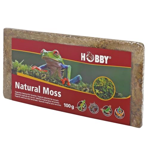 Dohse Aquaristik Hobby 34174 Natural Moss