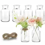 Lannvan Kleine Glasvasen - 6er Set Kleine Vasen für Tischdeko Hochzeit - Deko Vasen Set mit 8m Juteschnur - Mini Glasvasen für Tischdeko - Spülmaschinenfest -10.5cm Hoch