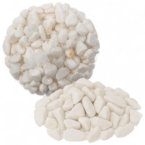 MIJOMA Ziersteine 1kg – natürliche Dekosteine für Garten, Aquarium, Basteln & Floristik, vielseitig einsetzbar aus echtem Naturstein (Weiß)