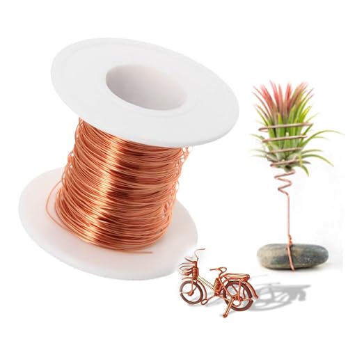 20m Kupferdraht, Electroculture Gardening Kupferdraht, Blank Kupferlackdraht, ø 0,2mmx 10m Lsoliert Magnetdraht, Air Plant Holders für Garten, Pflanzen und Gemüseanbau- 2 Rollen