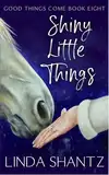 Shiny Little Things: A cozy small town holiday happily ever after (Good Things Come Book 8) (English Edition)