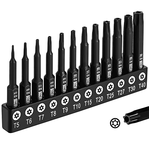 DAKCOS Torx Bit Set 12-teiliges T5, T6, T7, T8, T9, T10, T15, T20, T25, T27, T30, T40, Schrauber Bit Set Torx aus S2 Stahl, T-Profil mit bohrung, Länge: 50 mm