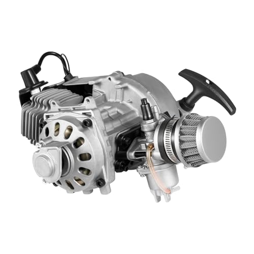 49cc 2-Takt Motor mit CVT Getriebe Pocket Bike Motors 28x23x13.3cm Aluminum Hub Dirtbike Motor Einzylinder mit Luftgekühltem für Mini Dirt Bike, ATV Roller