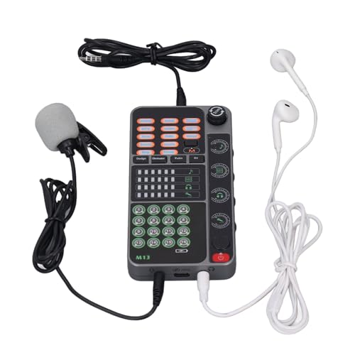 Tragbare Handheld-Sprachverzerrer, Live-Soundkarte mit Sound, Multifunktionale Effektmaschine, Sprachverzerrer mit Bluetooth für Telefon, PC, Laptops, YouTube, TikTok, NS,