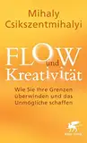 FLOW und Kreativität: Wie Sie Ihre Grenzen überwinden und das Unmögliche schaffen -