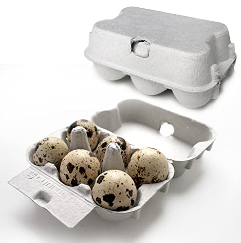 Eivolution 6er Wachteleierschachteln aus Pappe - 30 Stück - Eierkartons für Wachteleier aus Recycling Material