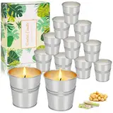 OSTWOLKE Citronella Kerze Outdoor, 12 x 2OZ Candles Zitronella, Natürliche Sojawachs Zitronella Kerzen, Brenndauer 120-180H, Scented Candle für Garten, Camping, Grillen, Urlaub, Sommergeschenk