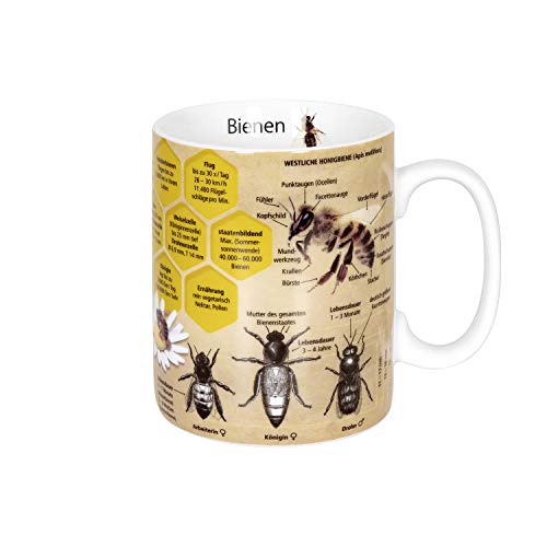 Könitz - Wissensbecher Bienen