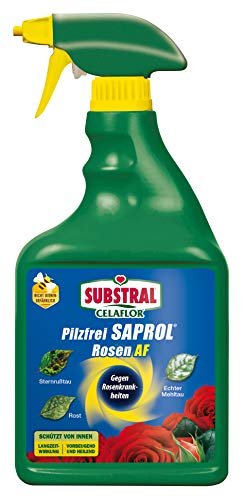 Substral Celaflor Pilzfrei Saprol Rosen AF, anwendungsfertiges Spray gegen Pilzkrankeiten an Rosen, 750 ml