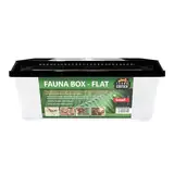 Terra Exotica Fauna Box Flat Transportbox für Reptilien, Amphibien, Insekten, Mäuse - Zuchtbox für Heimchen und Grillen - Faunarium (Small - 37x22x15,2 cm)