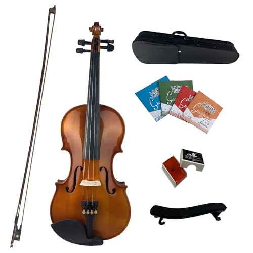 Insoul Professionelles Violinen-Set für Studenten, 4/4-Größe, Violine für Anfänger, Akustikgeige aus Massivholz, Anfänger-Set für Schüler (Anfänger-A, 4/4)