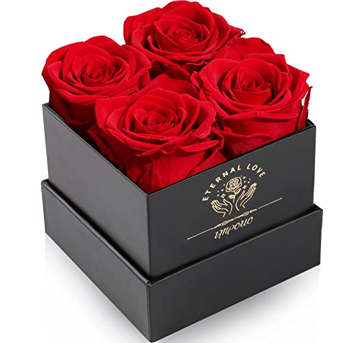 Impouo Rosenbox,Infinity Rosen,Konservierte Rose, Ewige Rose,Geburtstagsgeschenke FüR Frauen, Geschenke FüR Mutter/Freundin/Ehefrau/Oma, Geburtstag, Valentinstag,Ewige Blume