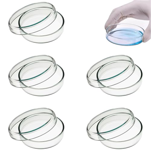 5 Stück Petrischalen,Petrischale Glas,Petrischale 60 * 18mm,Glas Petrischalen Mit Deckel,Transparente Sterilisierte Petrischalen,Für Schulen Und Laborkultur Bakterienhefe