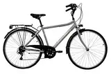 Discovery Denver Herren Trekkingrad Manhattan Herrenfahrrad (28 Zoll), Shimano 6 Gänge, Farbe Silber Metall