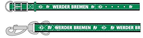 SV Werder Bremen Hundehalsband klein ca. 30cm X 45 cm