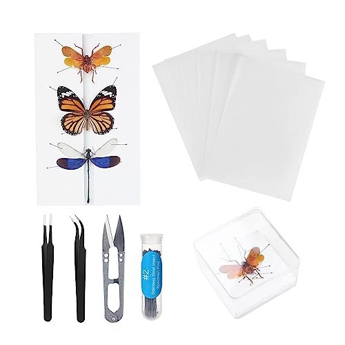 Herstellung von Insektenproben Werkzeug Kit, Insektenstiften, Insektenstiften Brett, Flügel Presspapier, Pinzette, Schere, Insekt Vitrine, Insektensammlung für Bug Hobbyist/Biologie Projekte