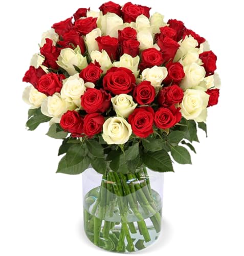 Rosenstrauß, 50 rot-weiße Rosen, Ideales Blumengeschenk, 50 cm, Qualität vom Floristen, 7-Tage-Frischegarantie, Schneller Blumenversand