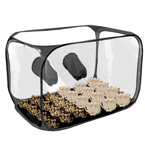 Pilz-Zuchtbox, Pilz-Still-Luftbox | Anzuchtstationen Growzelt-Set,Pop-up-Design, Faltbare Wachstumsbehälter, Gartenbauzubehör für Pilzexperimente