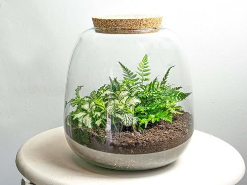 Flaschengarten - Pflanzenterrarium - Emma Mini - Bausatz - ↑ 20 cm - urbanjngl