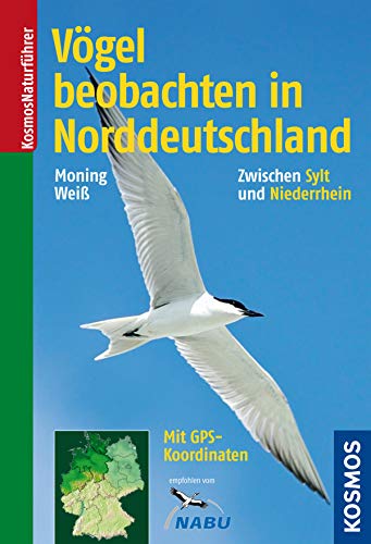 Vögel beobachten in Norddeutschland