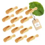 12x HOFMEISTER® Dosier-Schaufel aus Holz, 7,5 cm, Mess-Löffel für Gewürze, Tee, Kaffee & Getreide, sicheres Dosieren, Abwiegen, Befüllen in Vorratsbehältern, Teedosen & Einmachgläsern