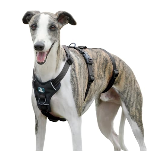 Paworld Sicherheitsgeschirr Hund, Anti Zug Hundegeschirr, Panikgeschirr für Hunde, Ausbruchsicheres Geschirr Hund, Verstellbare, Atmungsaktiv Weste für kleine, mittelgroße und große Hunde (Schwarz,L)