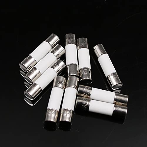 BIQSYVTM Circuit Breaker 100pcs Ceramic Fuse 5mm x 20mm sluggish T 0.5A 1A 2A 3A 4A 5A 6A 8A 10A 13A 15A 20A 30A 250V Circuit Breaker Car(2A 100pcs)