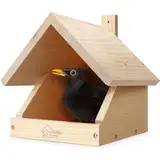 WILDLIFE HOME Amsel Nistkasten, Halboffen aus verschraubtem Massiv-Holz I Halbhöhle Wetterfest & Unbehandelt I Amselhaus Vogelhaus zum Aufhängen für Halbhöhlenbrüter, Rotkehlchen & Co.