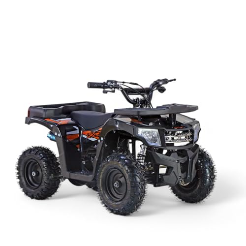 KXD M4 6" 49ccm 2T Quad Mini ATV Miniquad Benzinmotor Kinderquad Kinder Enduro Pocketquad Sportquad Jugendliche Freizeitfahrzeuge kid Erwachsene Funsport Orange
