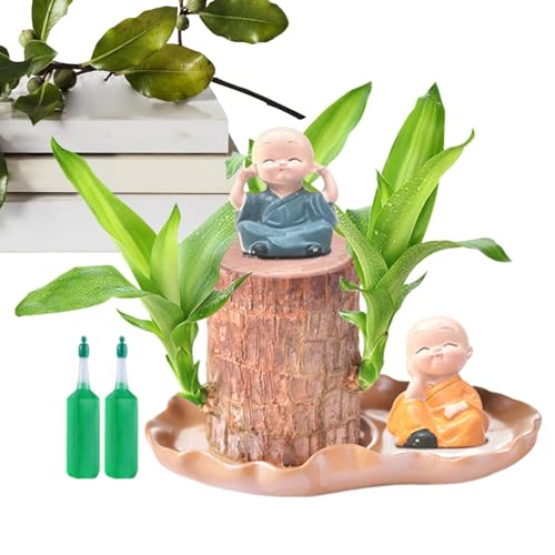 Mini Glücksholz Aus Brasilien, Brasilianische Holzpflanze, Hydroponische Pflanze Aus Brasilianischem Holz Mit Nährstofflösung Und Figur, Brasilianisches Glücks Bambusholz, Baumstumpf-Topfpflanze Für