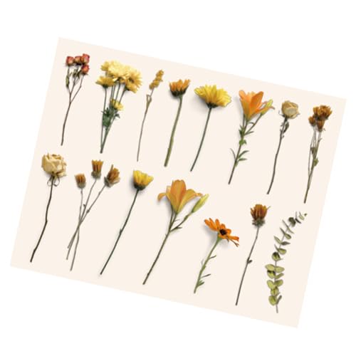 Vintage -Pflanzen Blumen Aufkleber, Retro Blumenpflanzenabziehbilder für das Laptop Scrapbooking Journal, Easy Application 30 Aufkleber, Vielseitig, Mehrere Verwendungszwecke, Retro -Design, mit für