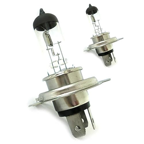 CARALL 2 Stück Halogenlampen 12V für Autos (H4 P43T 12V 60/55W)