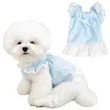 Hundekleid für Haustiere, Größe XS, Blumendruck, Sommerkleidung, Rüschenbesatz, Welpen-Shirts für kleine Hunde, Blau und Rosa, 2er-Pack (Blau, Größe L (4-5,5 kg))