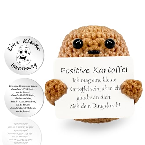 Mini Pocket Hug Positive Saure Gurken,Geschenke für Freund,Lustig Geschenk für Freundin ,Motivationsgeschenke,Kleiner Glücksbringer Beste Freundin,Kleine Umarmung Pocket Hug Gurken Glücksbringer