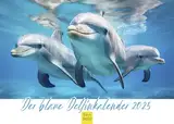 Edition Seidel Premium Kalender Der blaue Delfinkalender 2025 Format DIN A4 Wandkalender Tierkalender Delfin Delfine Säugetiere Meer Ozean