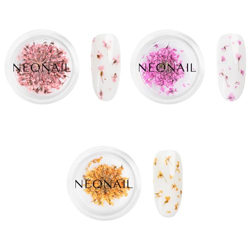 NEONAIL Nail Art Flowers Set - Trockenblumen - Getrocknete Blumen - Nageldesign Zubehör - Nageldekorationen - Getrocknete Blüten - Nail Decoration - Gelnägel Zubehör - 3 Farben - Rosa, Lila, Orange